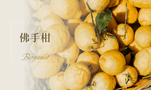 植物故事｜佛手柑