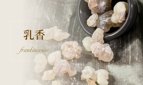 植物故事｜乳香